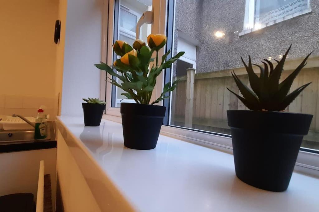 Spacious 4 Bedroom, Free Netflix, Central Location Cardiff Buitenkant foto